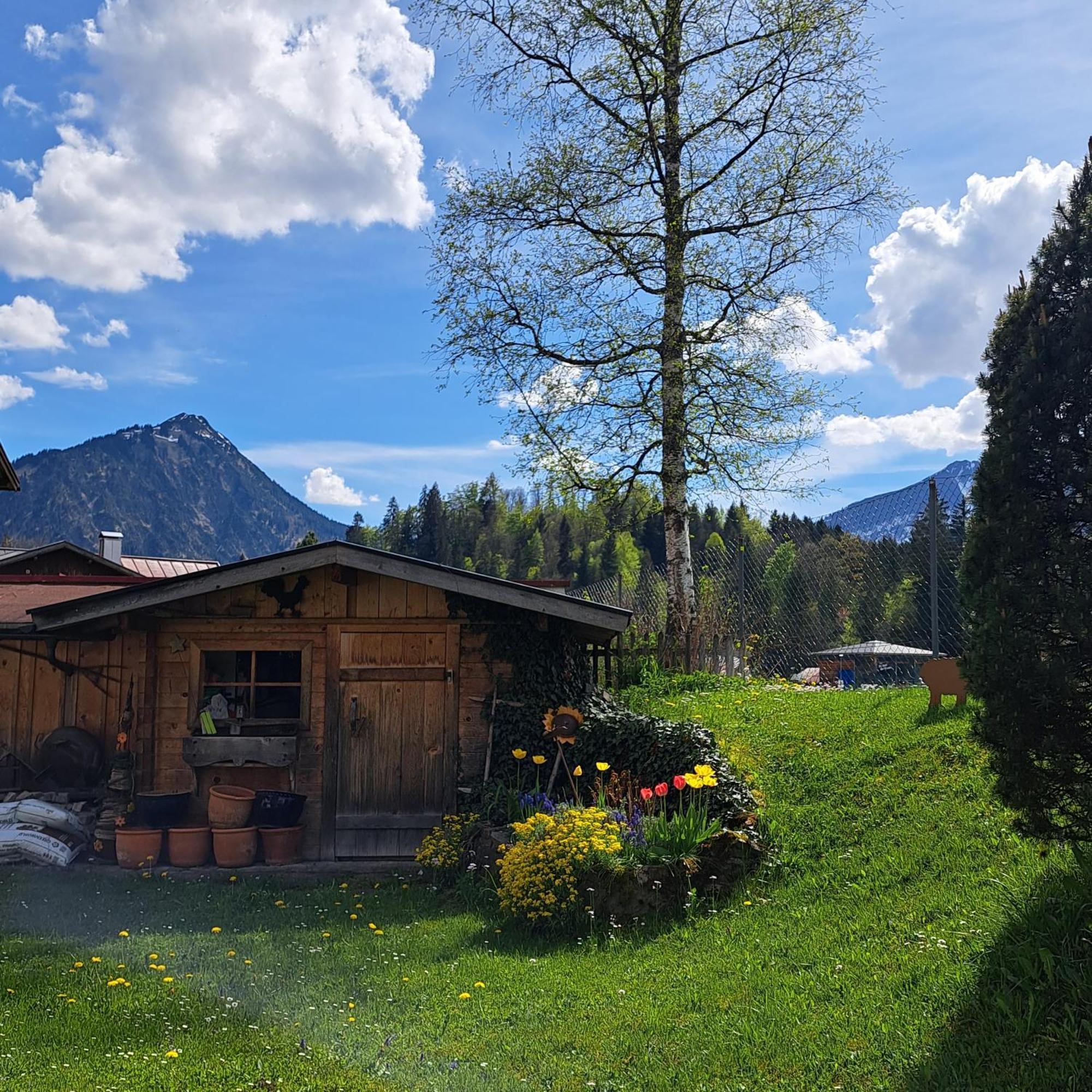 Faltenbach Ferienwohnungen In Oberstdorf Exteriér fotografie
